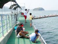 �䗧���ނ�A�C�����h