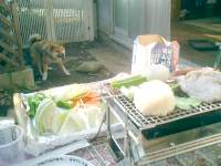 NMG�Z�~�i�[�̖͗l�B