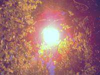 �Ȃ����X�H���̉��ɂ���X���ɋC���䂩���l�B�̓ǂ񂾊G�{�̉e�����Ǝv���B