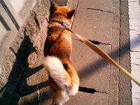�����猢�ƎU���B