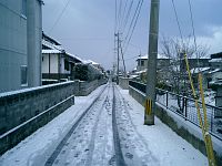 12���̌F�{�s���B�ፑ�ł��B