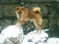 ��������ɂĐፑ�����C����Ă���B