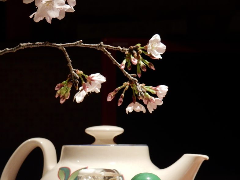 食卓の桜