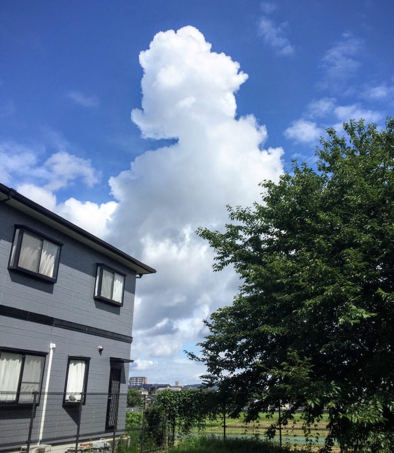 久しぶりの青空