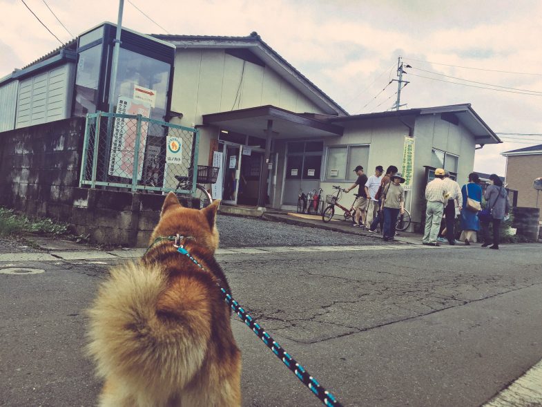 僕に選挙権が来るのはあと5年後か・・