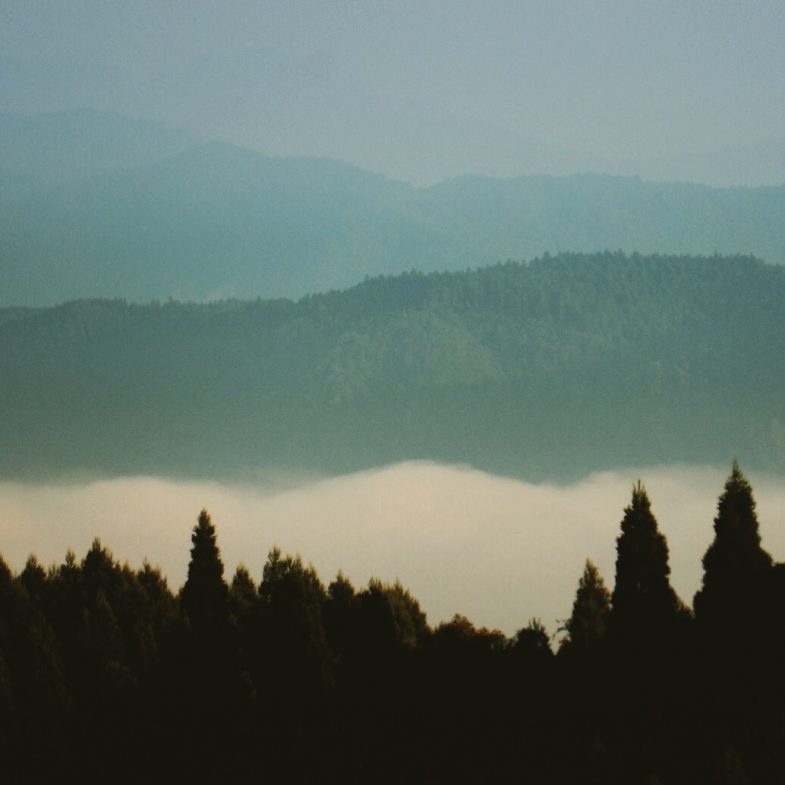 雲海