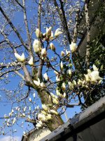 IMG_20170314_091410