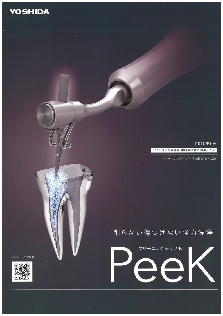 2クリーニングチップK PeeK