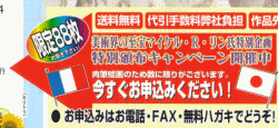 限定88枚