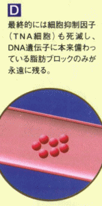 ̂S